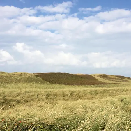 Vestervig With A Fireplace 164