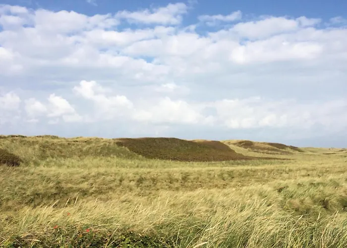 Vestervig With A Fireplace 164